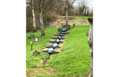 Pünderich Castle View - Foto 9