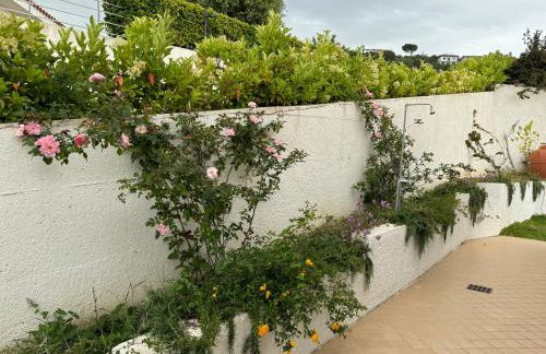 Villa Dei Fiori Zambrone - Foto 45