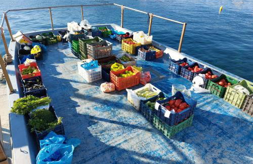 Vakantiehuisje Eione op het eiland Paleo Trikeri - Photo 32