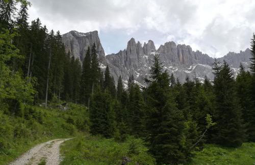 Residence Grand Hotel Carezza - Foto 65