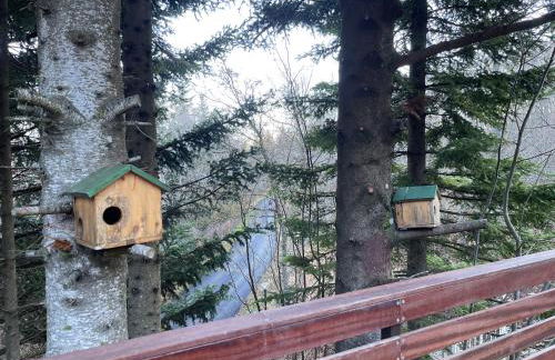 Chalet Leonard House in the wood - Foto 6