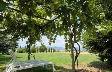 Corte Monticello - Foto 25