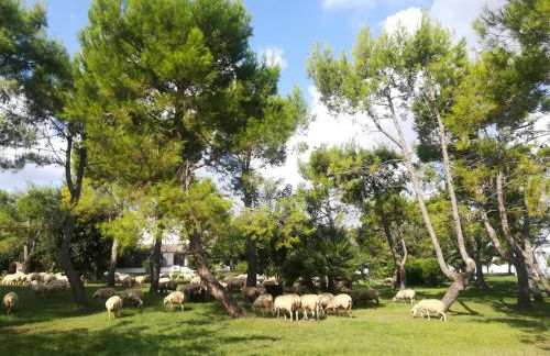 Agriturismo Torrevecchia - Foto 48