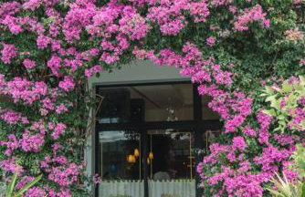 Hemingway Suites at Palm Beach Hotel Island - Photo 69