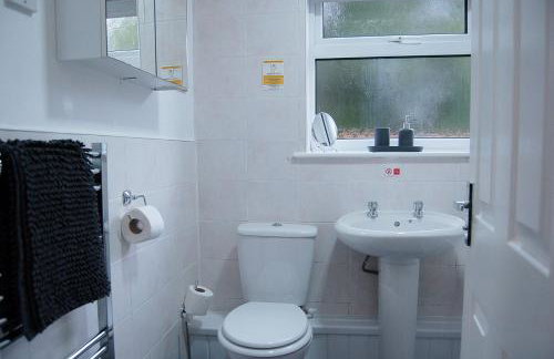 No 6 at Dolgoch Falls Cottages - Foto 20