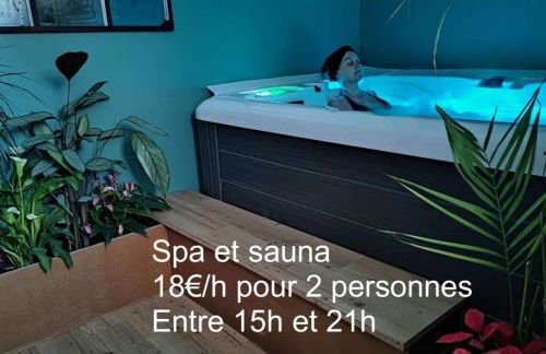 Les Treilles de Salies - Studio au calme - Foto 4