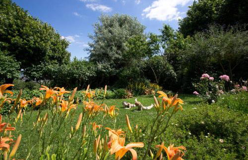 La Terre d'Or - Foto 53