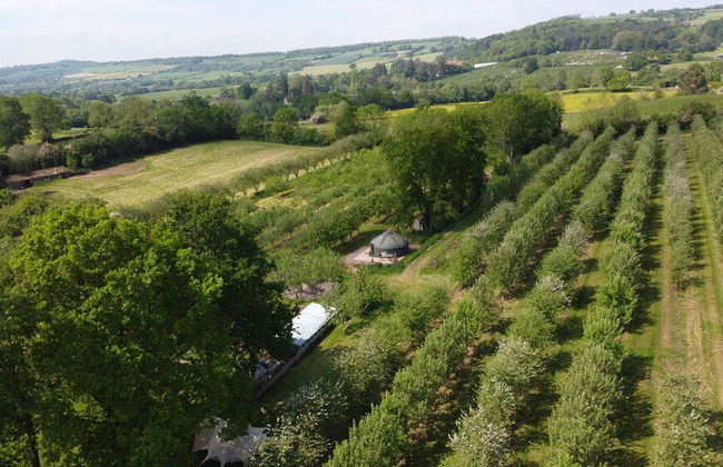 Dragon Orchard Retreat - Foto 44