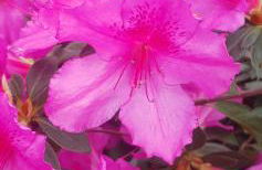 Casa do Monte - Photo 68