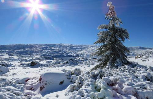 Casa Manuel I Sabugueiro - Foto 37
