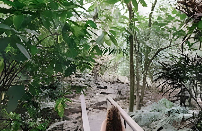 El Tumbo de las Olas - Foto 20