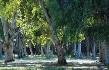 Villa Anva - Foto 24