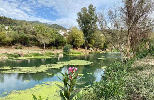 Casa Buitreras - Foto 16