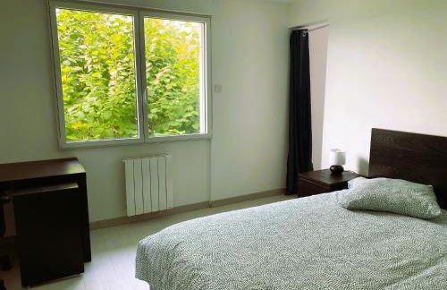 La troglo aux oiseaux - Foto 6