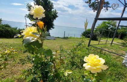 Apartment Trieste M&M - Foto 69