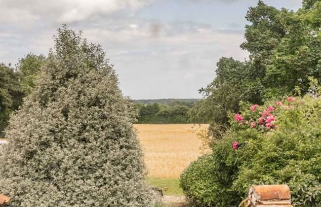 Host Stay Sandpipers - Photo 5