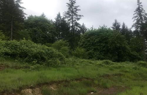 Luxurious Tent Vacation Rental on Glamping Site near Salem, Oregon - Foto 6