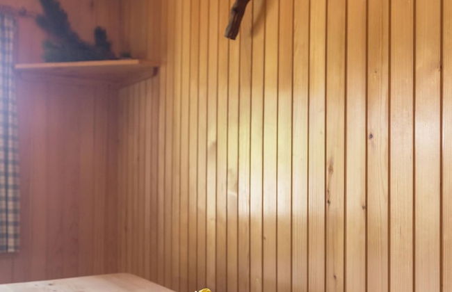 To Fall In Love - Chalet Zlatica - Velika Planina - Foto 8