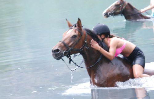 les Gites de l’E.D.E. - Photo 31