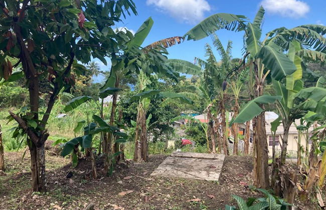 Stunning 2-bed Apartment in Grand Roy, Grenada - Foto 9