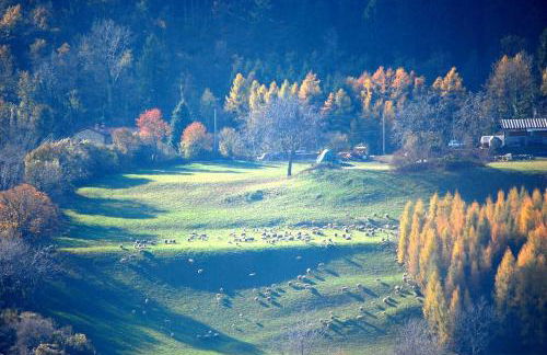 Residenza Ca' laRipa - Photo 36