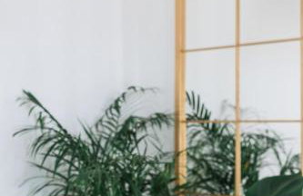 Birdhouse Private Luxury Villa - Romantic Couple Retreat - Foto 15