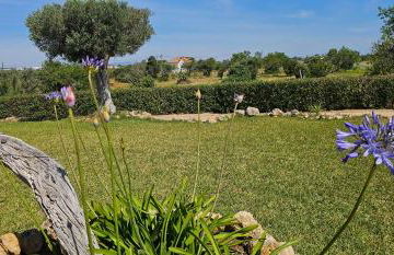 Quinta do Lagar - 10 - Foto 54