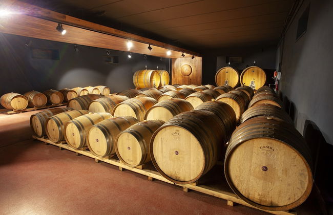 Podere Montale Winery - Photo 42