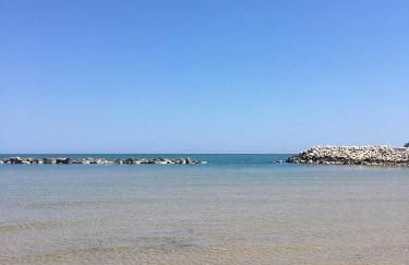 Le magnolie - Foto 31