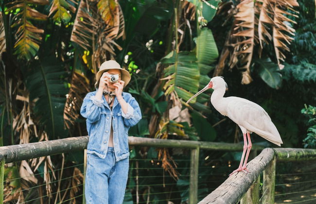 Buccara Noetzie - Pezula Castle - Foto 27