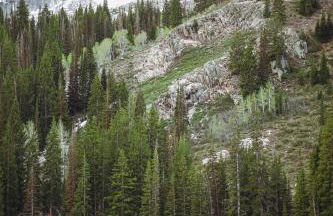 Majestic Suite 5 Bedroom Brighton Chalet - Foto 6