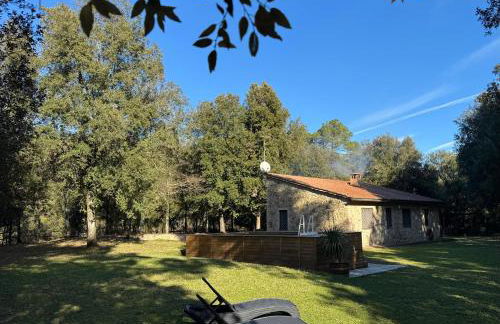 Casina nel Bosco - Foto 9