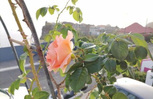 Westerland House - Foto 46