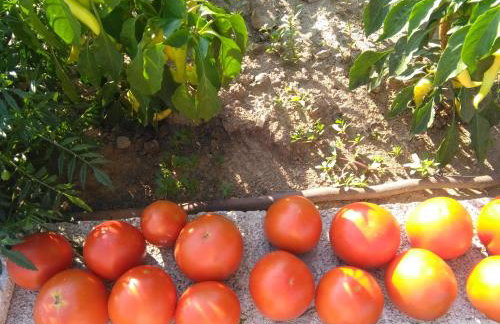 Martha's Villa - Foto 58