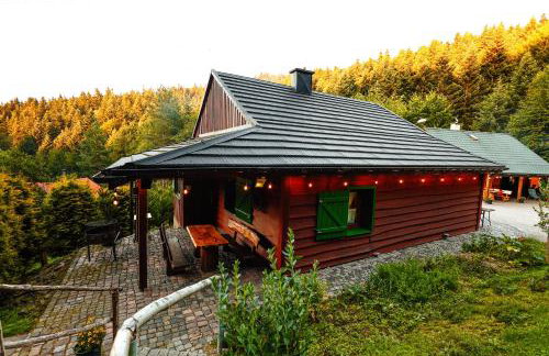 Świerkowe Zacisze Domki - Foto 19