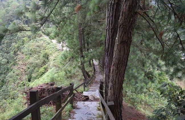 Tour in 4x4 di Ibagué e del canyon del Combeima - Foto 5