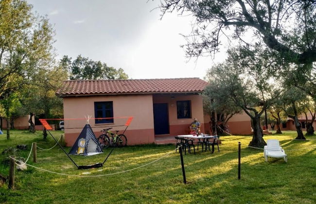 Aldea Vetonia Alojamientos con Encanto Parque de Mascotas-NO SE ACEPTAN EN JULIO Y AGOSTO- Varias zonas infantiles y deportivas "encuentranos y reserva para verano" - Foto 86