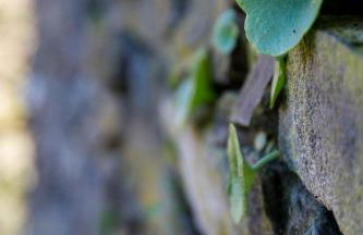 Casa de las Letrinas Baja, 2 Habt 5 más 1 Pers max chimenea con horno - Foto 58