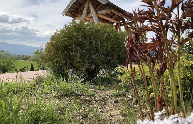 Branmontecrai - Foto 47