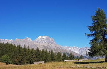 Le Skisun - Altitude 1800 - Puy Saint Vincent - Massif et Parc national des Ecrins - Foto 28