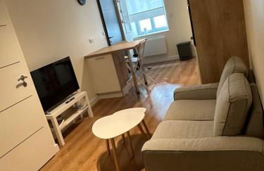 T2 hyper centre LONS LE SAUNIER - Foto 3