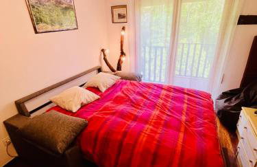 El refugio de la ardilla, apartamento Canfranc-estacion - Foto 29
