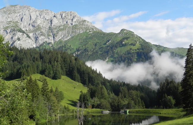 Apartment in Tropolach Near Ski Lift - Foto 23