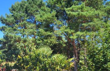 Aufatmen in Ahlbeck - Photo 5