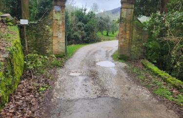 Villa Reame 500 a Meretto - Photo 28