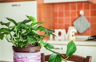 Residenza Aurora del Mare - Foto 43