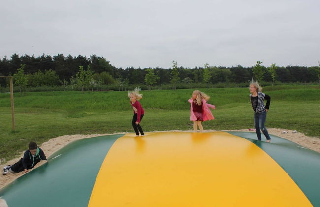 Relaxing Woodland Retreat - Foto 9