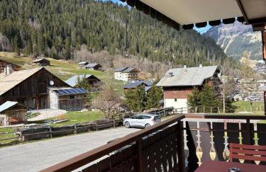 Studio Châtel Secteur Linga Proche Pistes - Foto 6