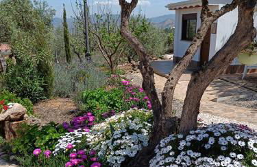 Casa Oasis - Foto 46