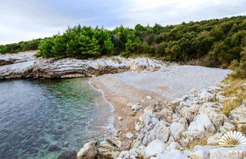 Sea apartment by beach Vine, olive oil tasting, kajaks, grill - Photo 45